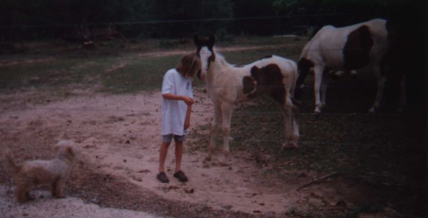Serrie, Spirit, MaMa Horse, BB